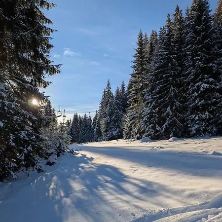 Erdody - 18 アパート Oravská Lesná